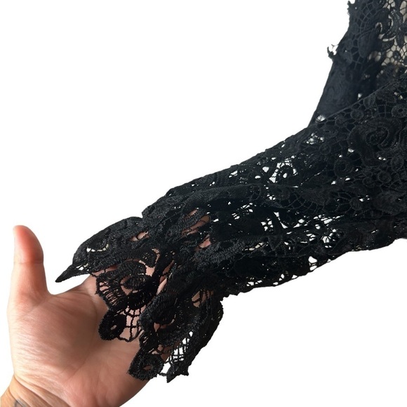 H&M Black Embroidered Lace Ruffle Long Balloon Sleeve Sheer Blouse Women Size 6 - Picture 14 of 16